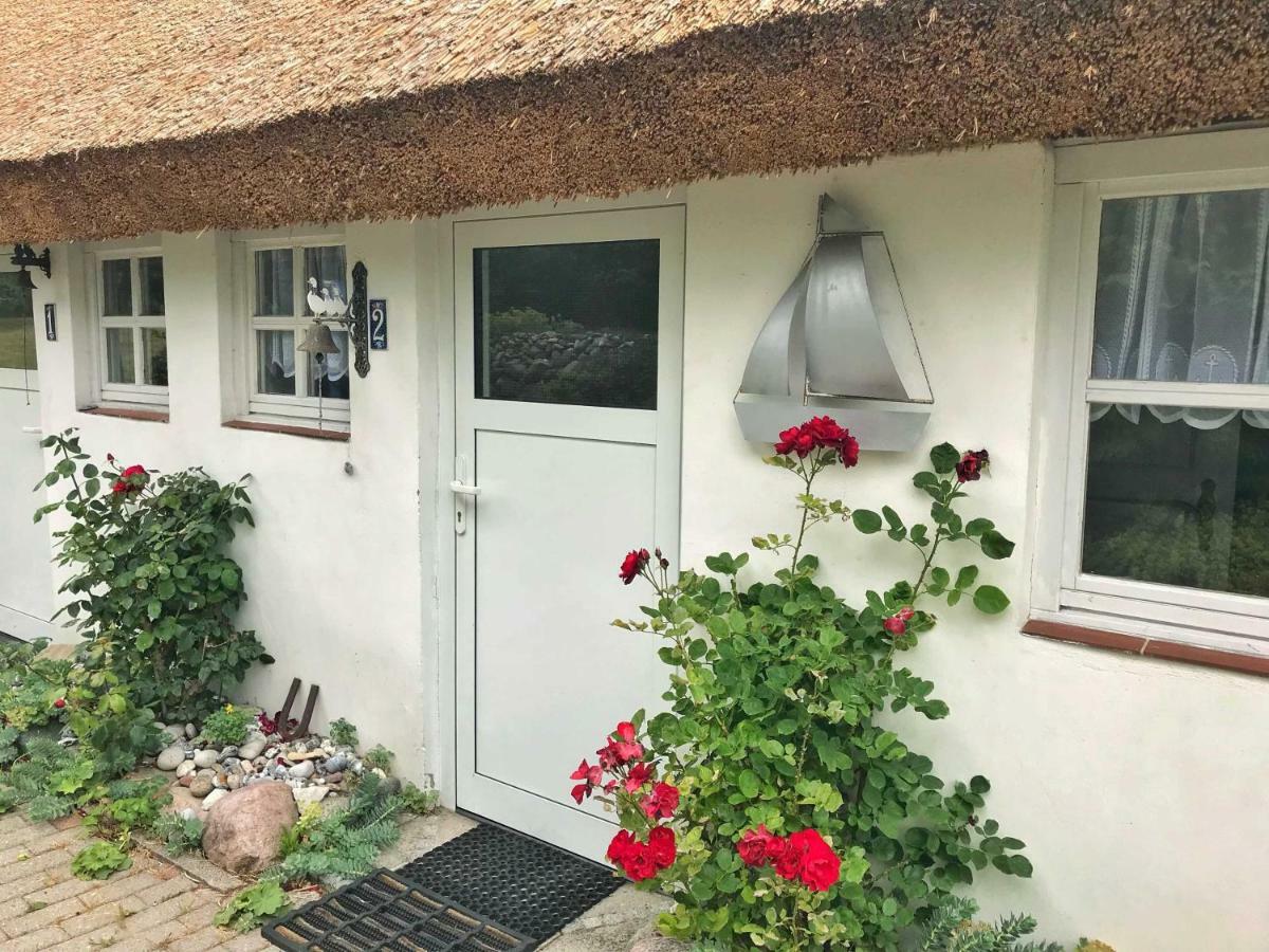 Kleine Reetgedeckte Doppelhaushaelfte In Idyllischer Lage Nardevitz Exterior foto